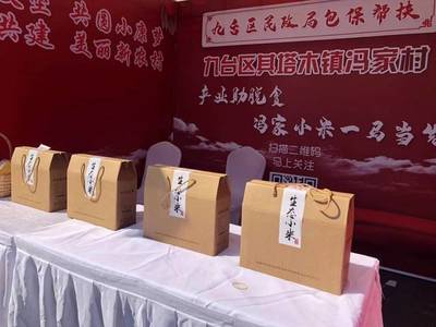 第一書(shū)記攜手鄉(xiāng)村好物，長(zhǎng)春網(wǎng)絡(luò)助燃集體經(jīng)濟(jì)新活力